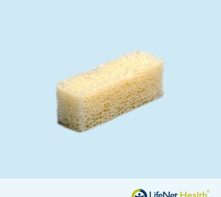 Bloque de Hueso Esponjoso Hidratado PRESERVON®